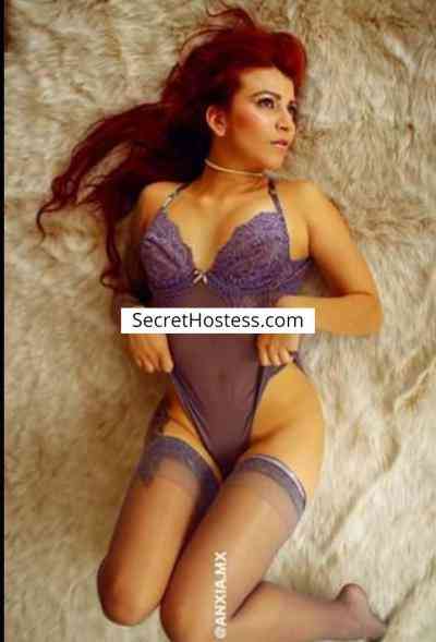 26 Year Old Latin Escort Rome Redhead Brown eyes - Image 3