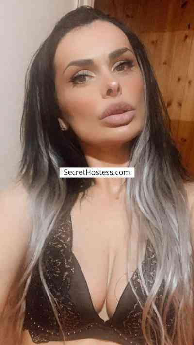 ULTIMI GIORNI 24Yrs Old Escort Size 10 50KG 167CM Tall Bologna Image - 38