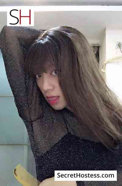 Venus ladyboy 25Yrs Old Escort 49KG 167CM Tall Shanghai Image - 5