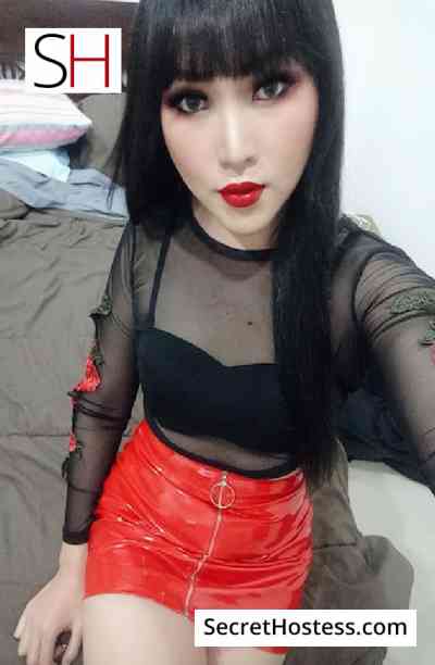 Kam 26Yrs Old Escort 65KG 186CM Tall Phuket Image - 0