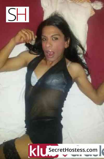 Tanja transica bgd 30Yrs Old Escort 60KG 170CM Tall Belgrade Image - 1