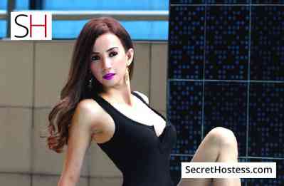 27 Year Old Japanese Escort Manila Brown Hair Brown eyes - Image 5