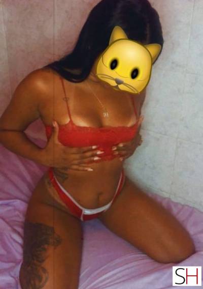 18 Year Old White Escort Campo Grande - Image 3