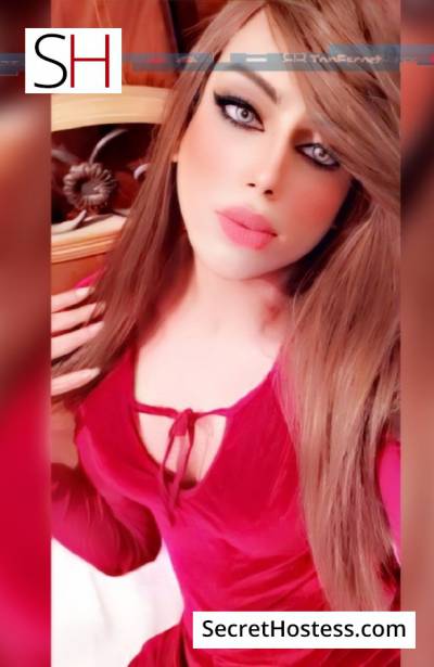 yoriy 23Yrs Old Escort 73KG 175CM Tall Cairo Image - 7