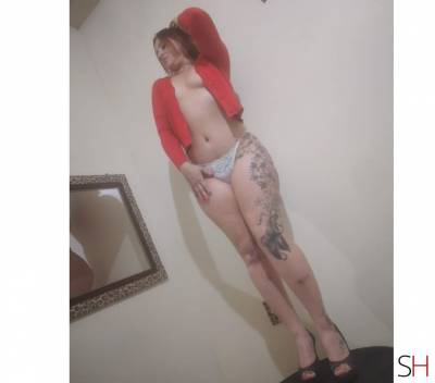 26Yrs Old Escort Santa Catarina Image - 5