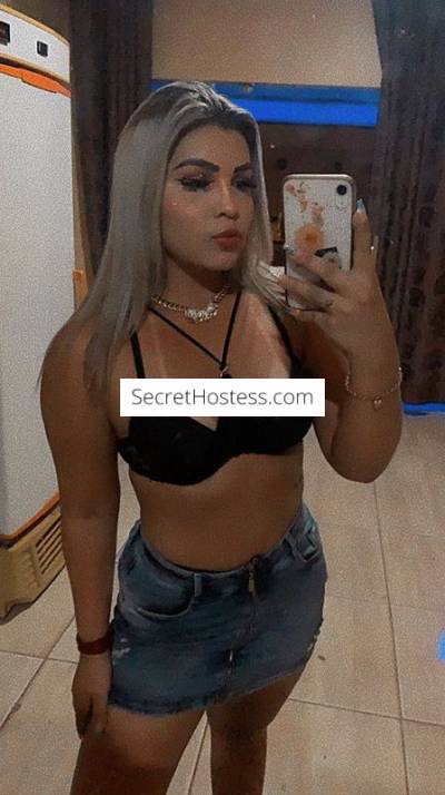 19Yrs Old Escort Mato Grosso Image - 3