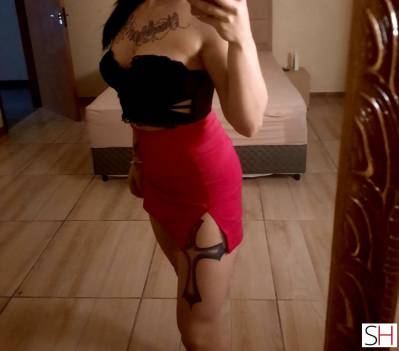 24Yrs Old Escort Florianopolis Image - 2