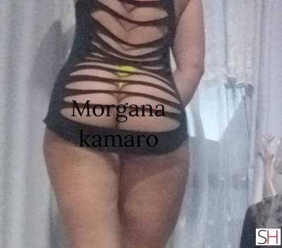 43Yrs Old Escort Porto Alegre Image - 8