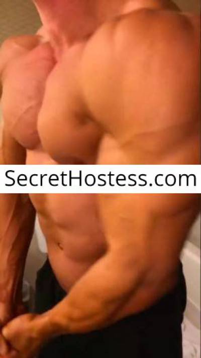 BigMusclee, Independent Escort in Stockholm