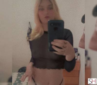 19 Year Old White Escort Sao Francisco Do Sul - Image 1