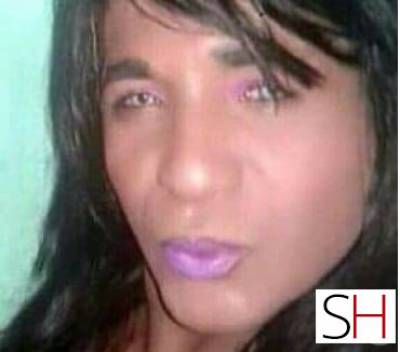 44 year old Mestizos Escort in Alagoinhas Bahia Gay travestis de programas
