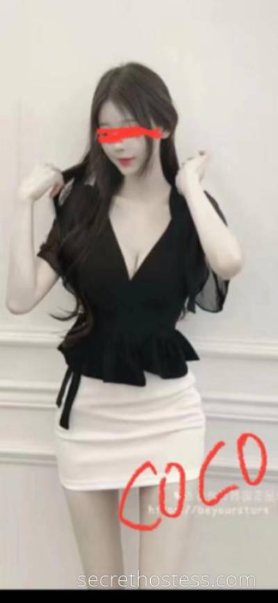 22 year old Chinese Escort in Boronia Melbourne 5 girls In &amp; out call Natural big boobs 36 E + coco 