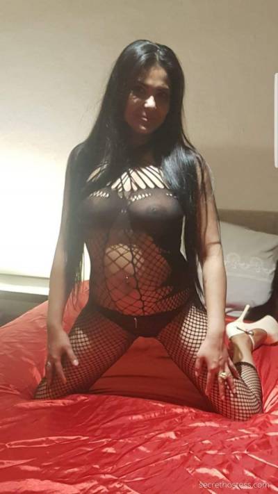 28 Year Old Central European Escort Berlin - Image 1