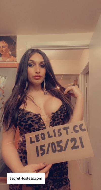 31 Year Old Middle Eastern Escort Toronto - Image 5