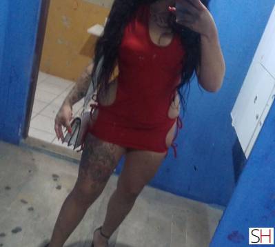 22Yrs Old Escort Santa Catarina Image - 1