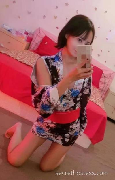 Miku 24Yrs Old Escort Hobart Image - 1