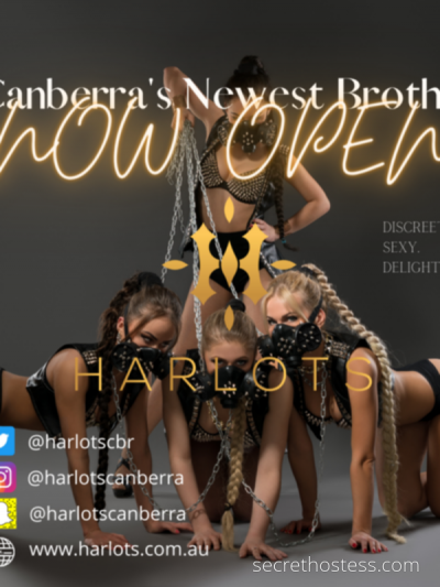 Harlots 19Yrs Old Escort Canberra Image - 4