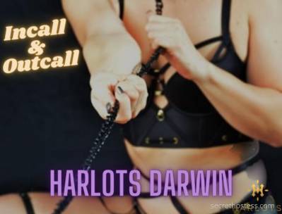20Yrs Old Escort Darwin Image - 5