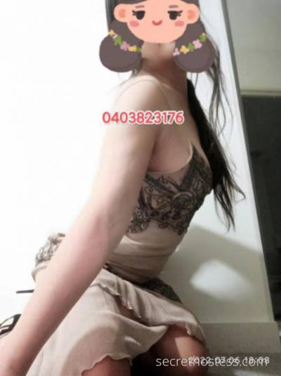 Monica 24Yrs Old Escort Townsville Image - 1