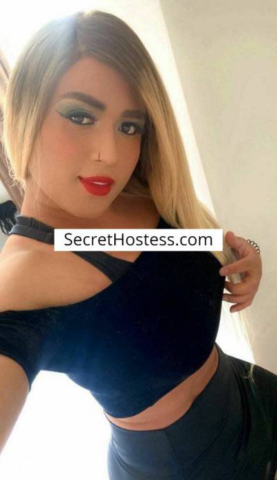 22 Year Old Caucasian Escort Vienna Blonde Brown eyes - Image 1