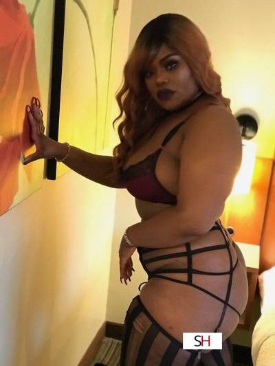 20 Year Old American Escort Detroit MI Blonde - Image 5