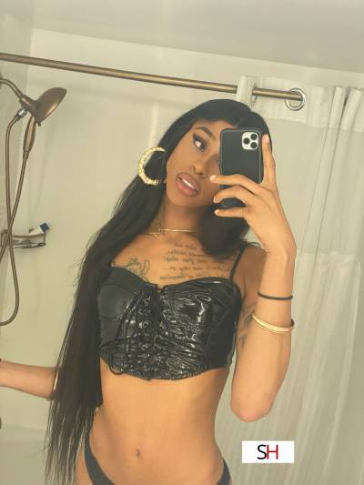 20Yrs Old Escort Size 10 189CM Tall Los Angeles CA Image - 5