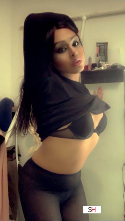 20Yrs Old Escort 165CM Tall Chicago IL Image - 0