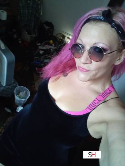 30Yrs Old Escort Size 10 183CM Tall Wilkes-Barre PA Image - 5