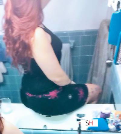 30Yrs Old Escort Size 8 169CM Tall Tampa FL Image - 1