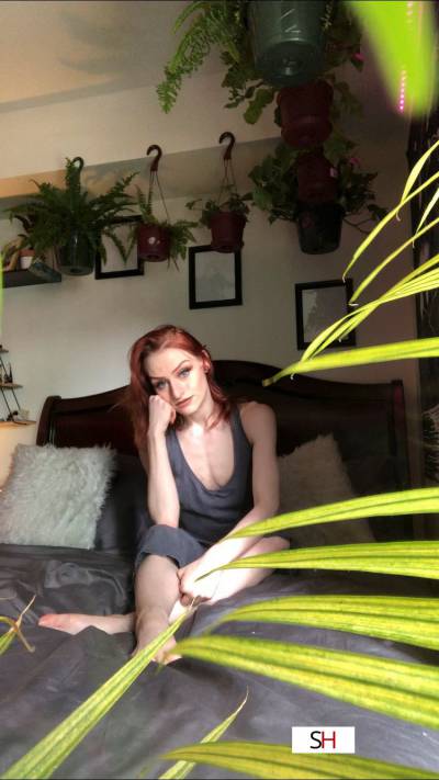 Darlin Dani - Your sexy redheaded dream girl 20 year old Escort in Denver CO