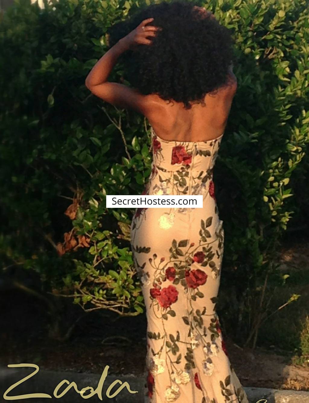 Zada Freespirit 27Yrs Old Escort Size 10 18KG Tampa FL Image - 12
