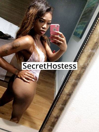 21 Year Old American Escort Houston TX Brunette - Image 2