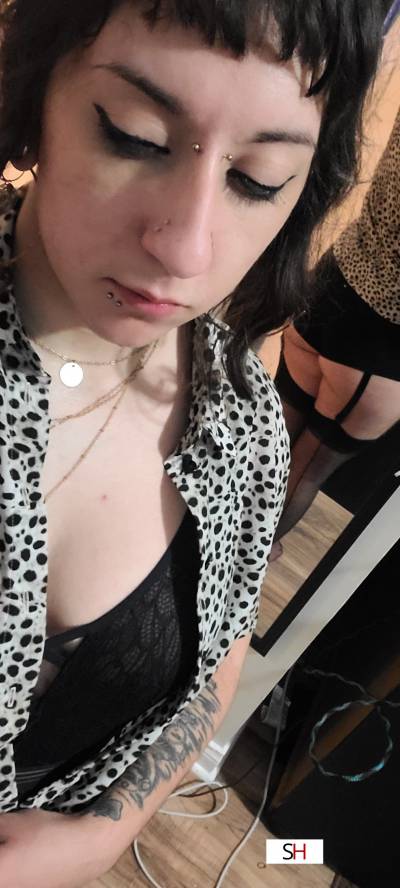 Sloane - Hairy Andro Babe 20 year old Escort in Chicago IL