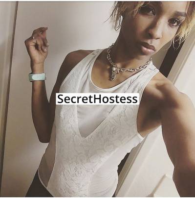 21Yrs Old Escort 168CM Tall San Francisco CA Image - 0