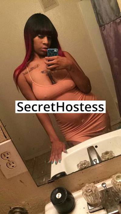 21Yrs Old Escort 162CM Tall Dallas TX Image - 1