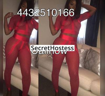 21Yrs Old Escort 162CM Tall Washington DC Image - 2