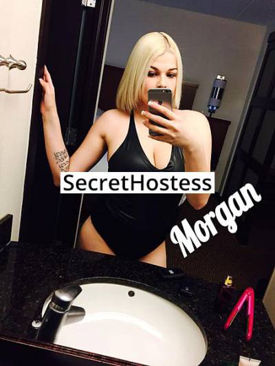 21 Year Old Caucasian Escort Washington DC Blonde - Image 7