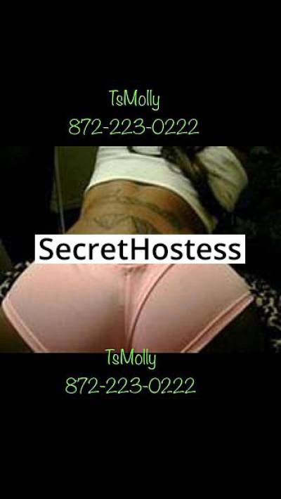 30Yrs Old Escort 168CM Tall Chicago IL Image - 2