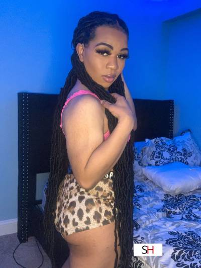 20Yrs Old Escort 162CM Tall Chicago IL Image - 4