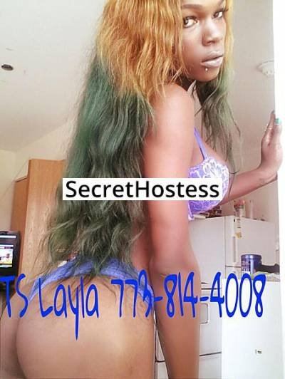 21Yrs Old Escort 162CM Tall Chicago IL Image - 0