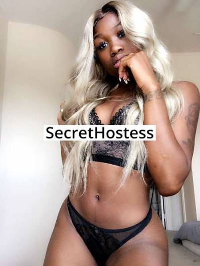 21 Year Old American Escort Houston TX Blonde - Image 1