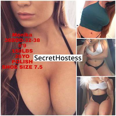 21 Year Old Caucasian Escort Chicago IL Brunette - Image 1