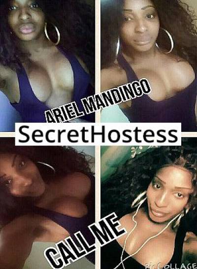 21Yrs Old Escort 162CM Tall Chicago IL Image - 2