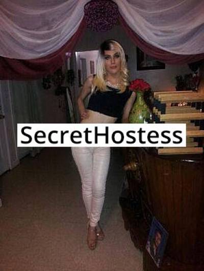 21Yrs Old Escort 168CM Tall Chicago IL Image - 0