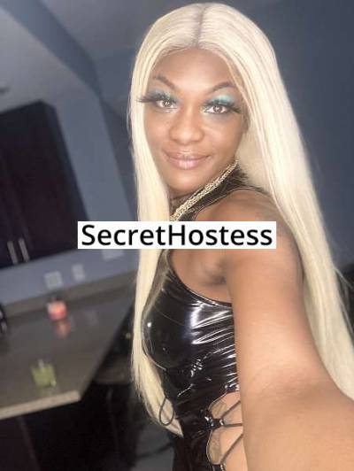 21Yrs Old Escort 168CM Tall Chicago IL Image - 18
