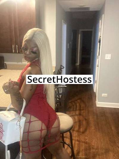 21Yrs Old Escort 168CM Tall Chicago IL Image - 22