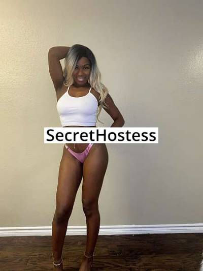 21 Year Old American Escort Dallas TX - Image 1