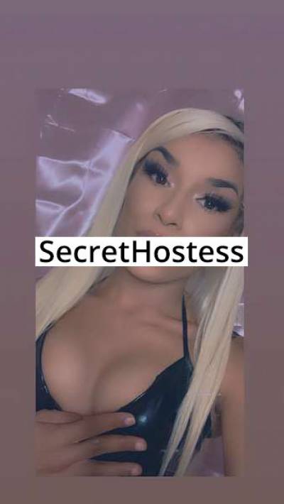 21Yrs Old Escort 162CM Tall Houston TX Image - 4