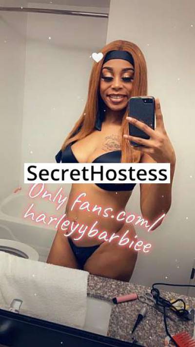 Harley 21Yrs Old Escort 168CM Tall Dallas TX Image - 0