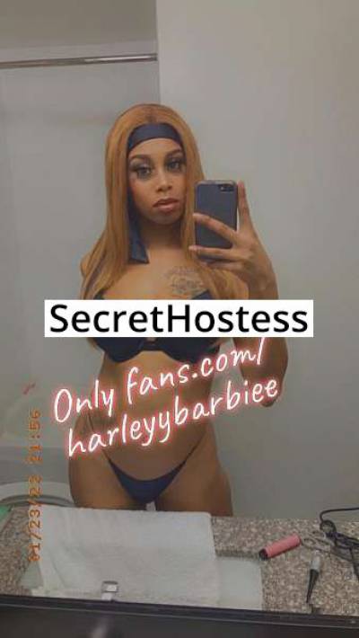 Harley 21Yrs Old Escort 168CM Tall Dallas TX Image - 5